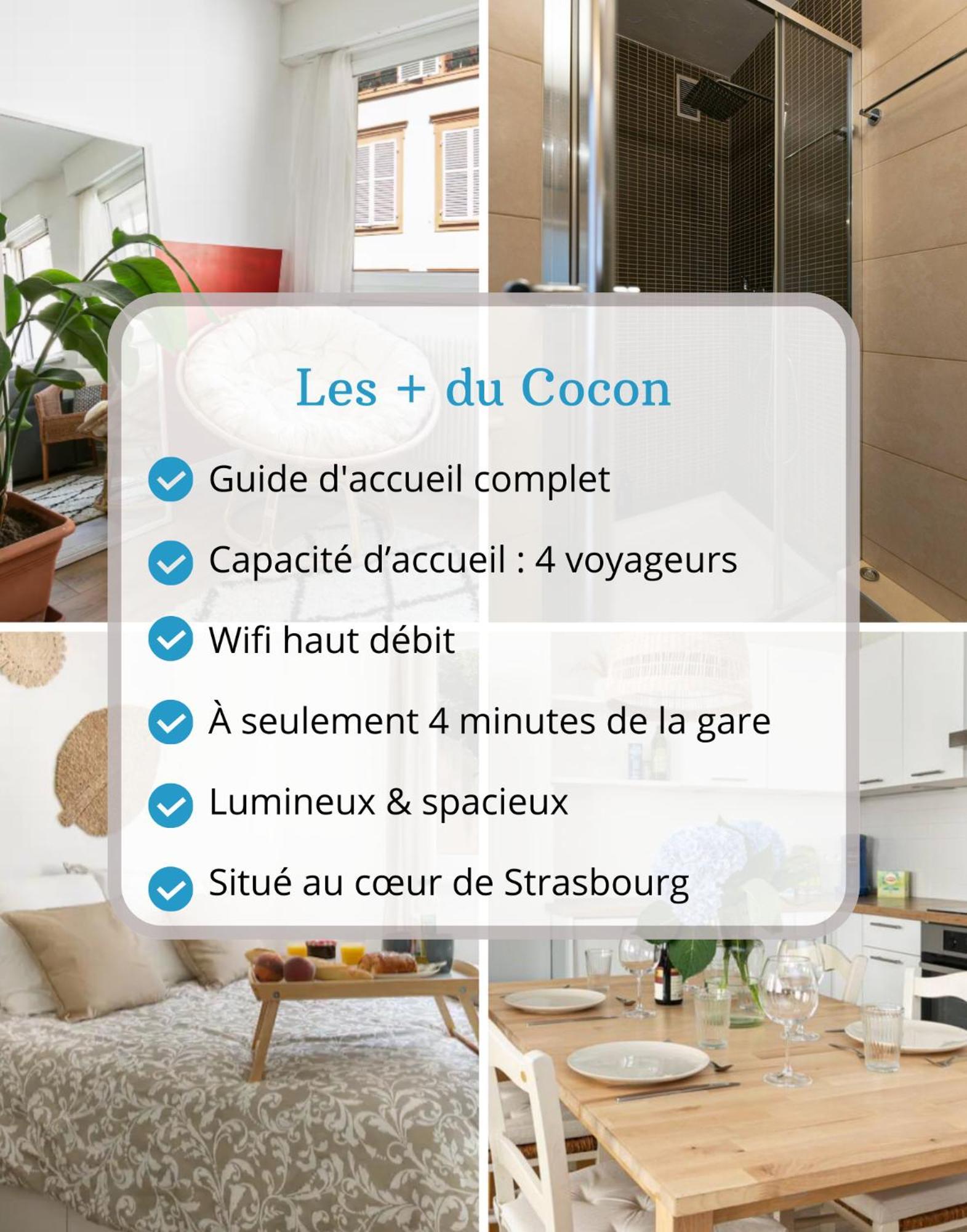 Le Cocon - Proche Gare - Lumineux & Centre Ville - Commerces A Proximite Στρασβούργο Εξωτερικό φωτογραφία